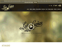 Tablet Screenshot of luiscanas.com